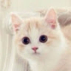 Meet your Posher, Mai